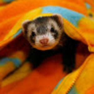 Meet your Posher, Georgia